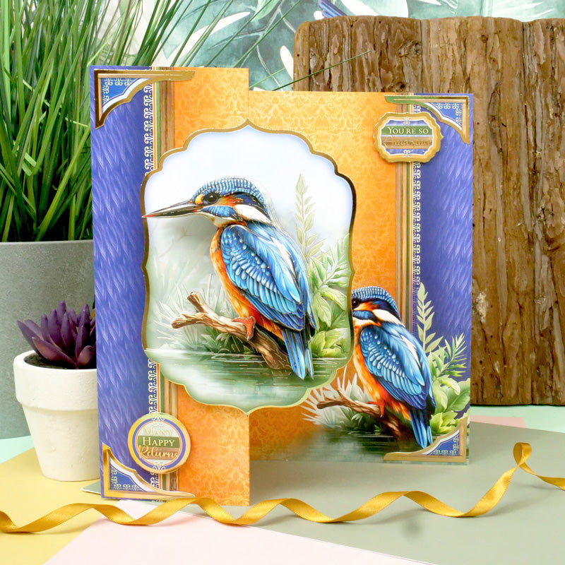 Beautiful Birds Deco-Large Set - Colourful Kingfisher-7