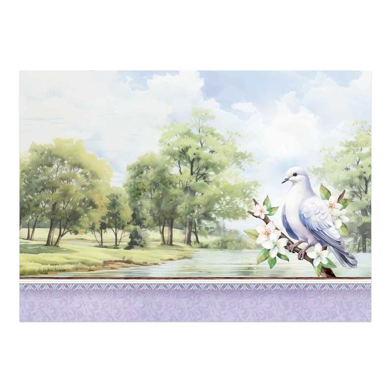 Beautiful Birds Deco-Large Set - Delightful Dove-4