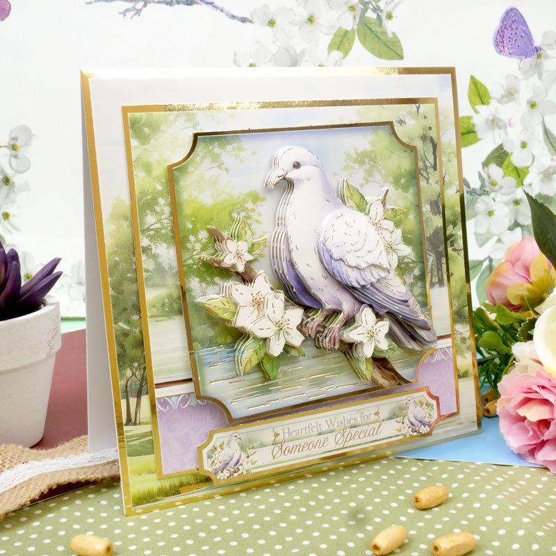 Beautiful Birds Deco-Large Set - Delightful Dove-5