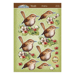 Beautiful Birds Deco-Large Set - Wee Wren-3