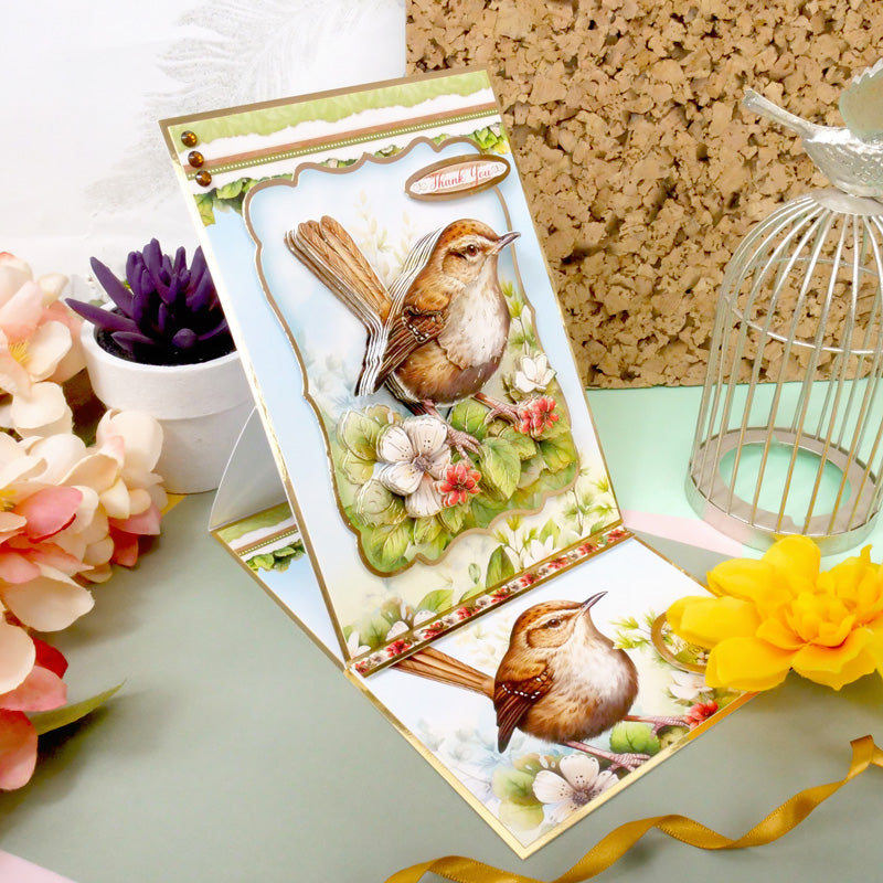 Beautiful Birds Deco-Large Set - Wee Wren-5