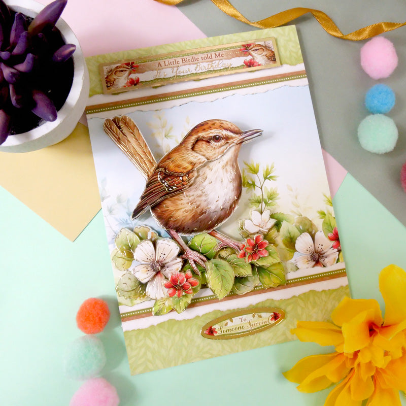 Beautiful Birds Deco-Large Set - Wee Wren-7