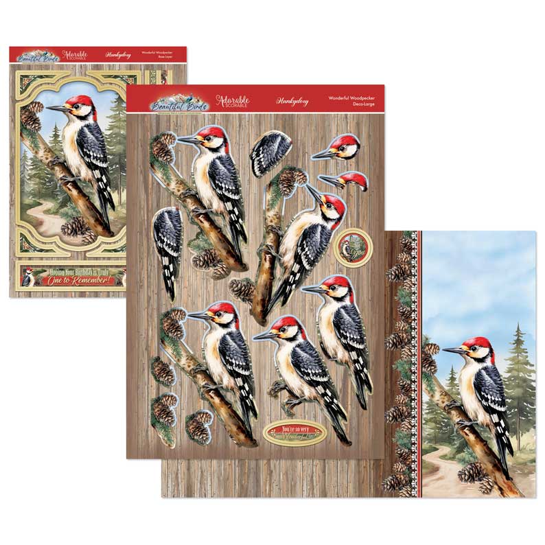 Beautiful Birds Deco-Large Set - Wonderful Woodpecker-1