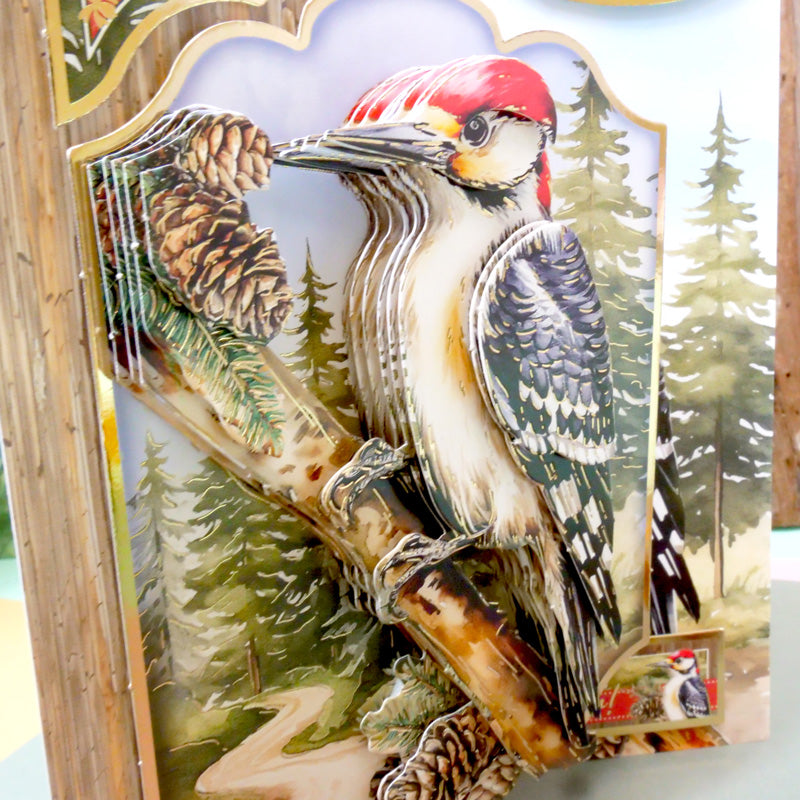Beautiful Birds Deco-Large Set - Wonderful Woodpecker-6