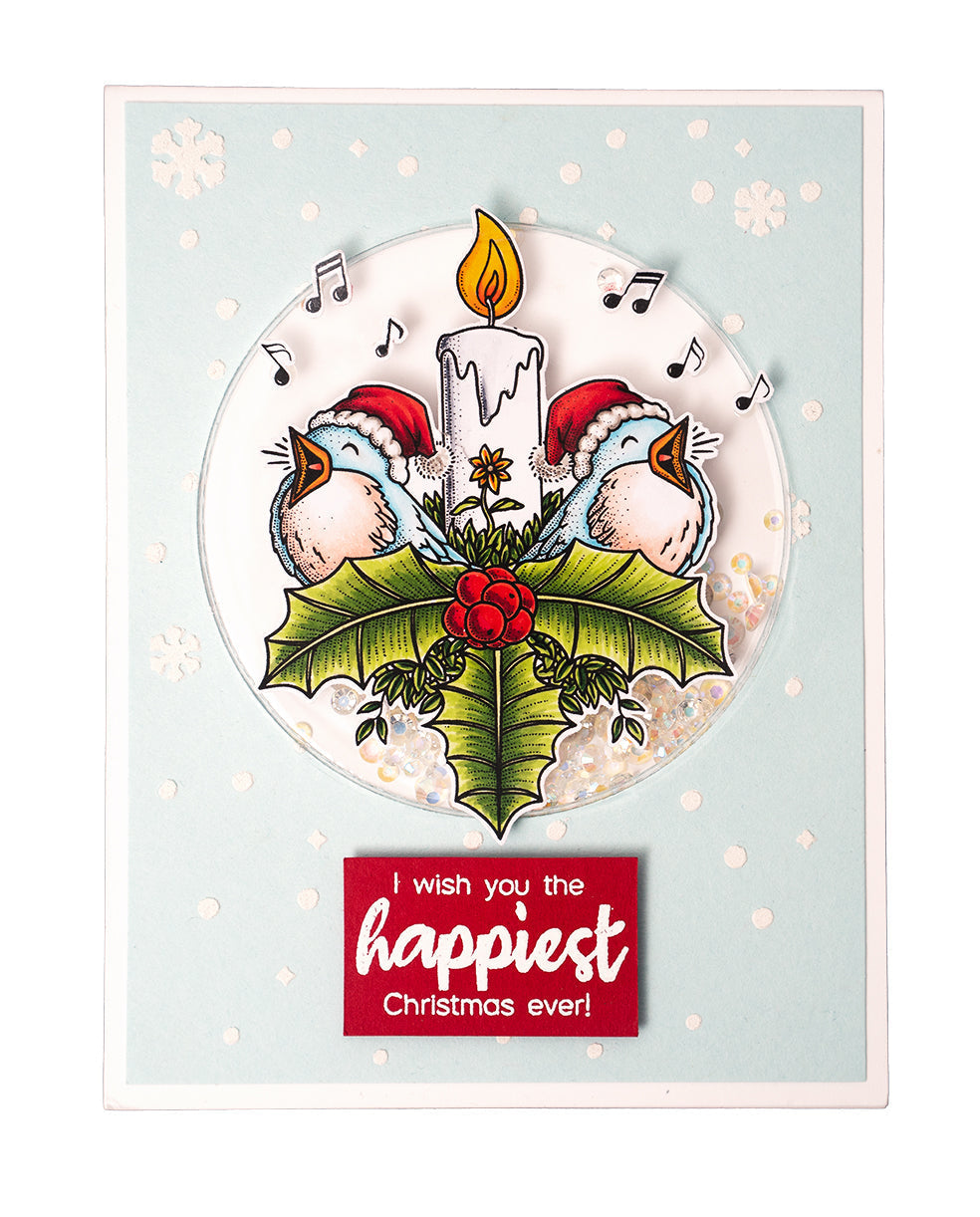 BL Clear Stamp Singing Birds By Laurens 89x64x3mm 1 PC nr.484-3