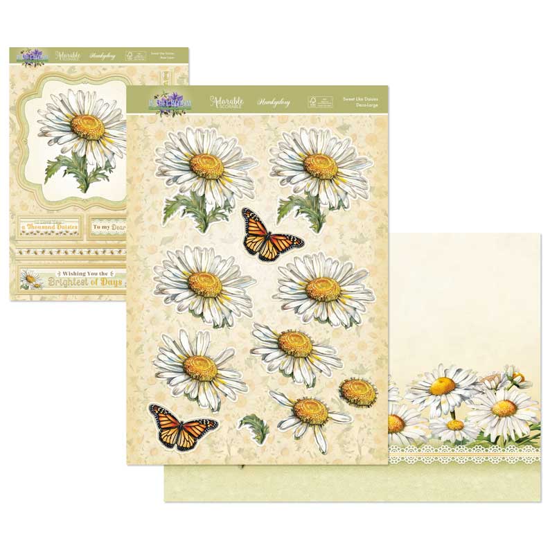 In Full Bloom Deco-Large Set - Sweet Like Daisies-1