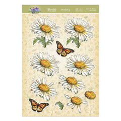 In Full Bloom Deco-Large Set - Sweet Like Daisies-3