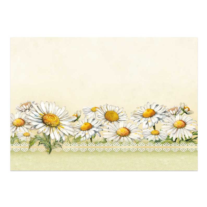 In Full Bloom Deco-Large Set - Sweet Like Daisies-4
