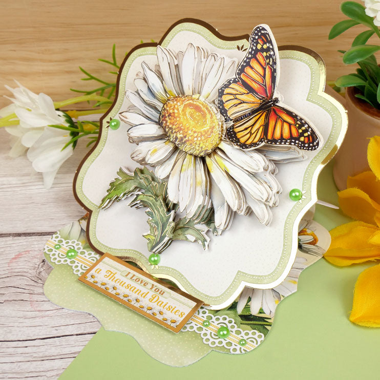 In Full Bloom Deco-Large Set - Sweet Like Daisies-5