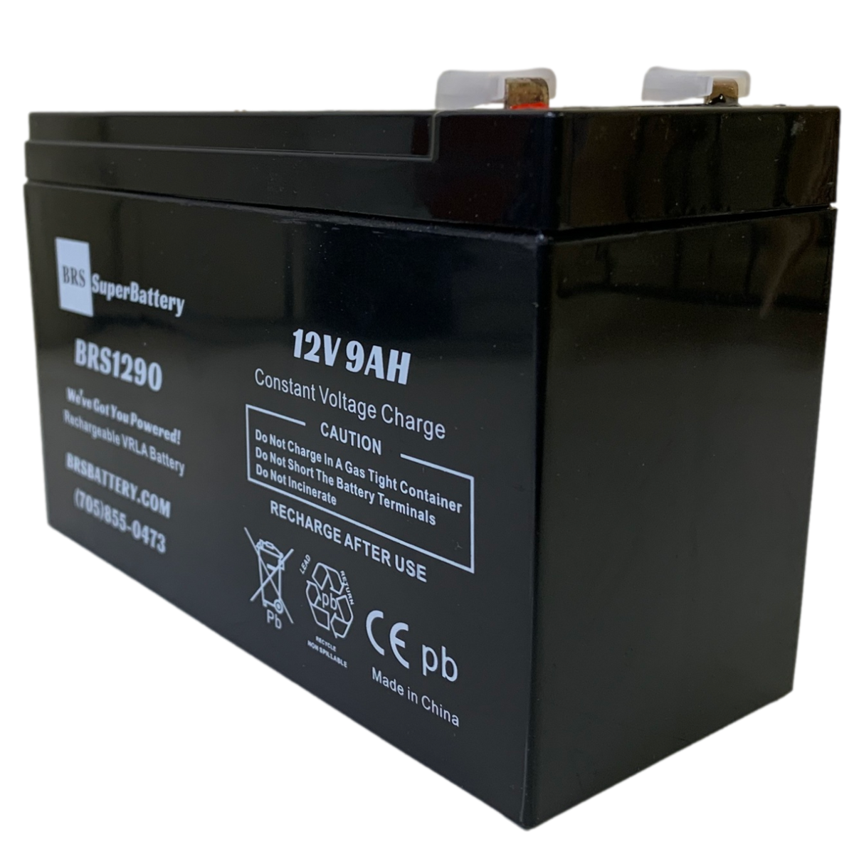 BRS1290 12V 9Ah Battery-2