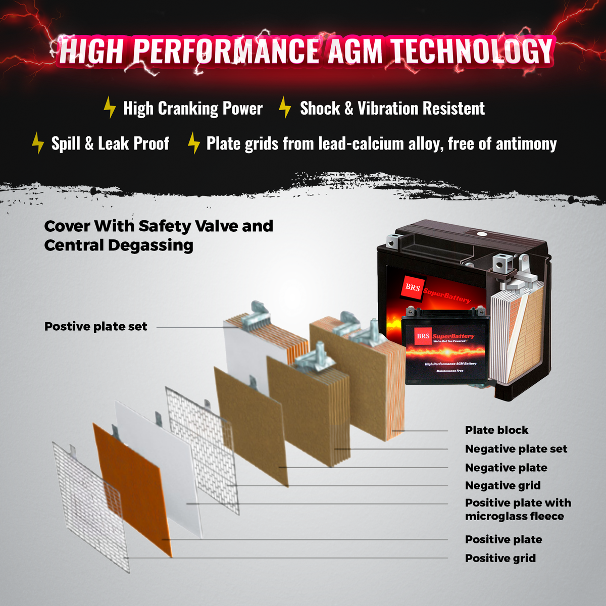 BRS24HL-BS 30 Day Warranty Battery & Smart Charger / Maintainer Combo Bundle Kit-12