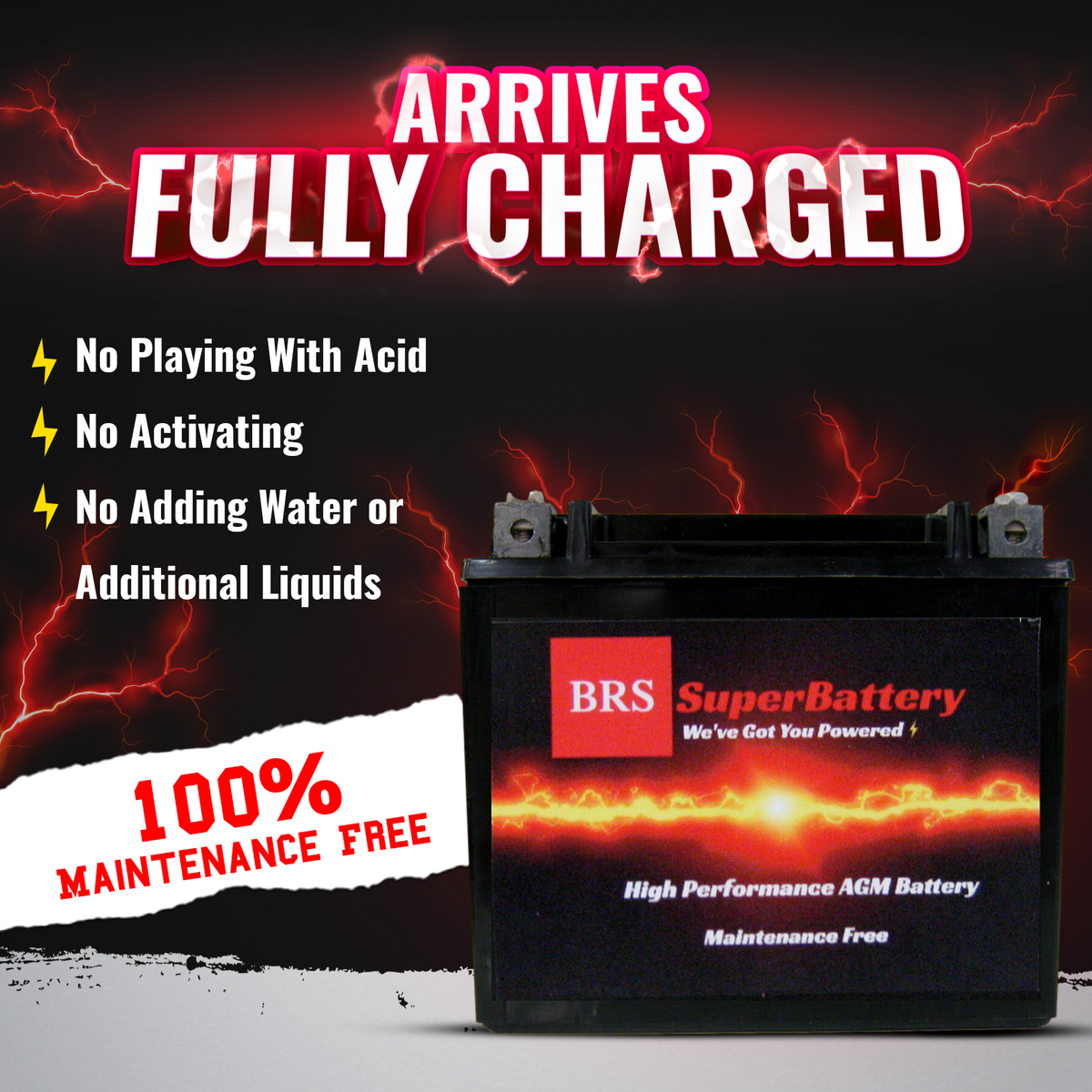 BRS20HL-BS 30 Day Warranty Battery & Smart Charger / Maintainer Combo Bundle Kit-11
