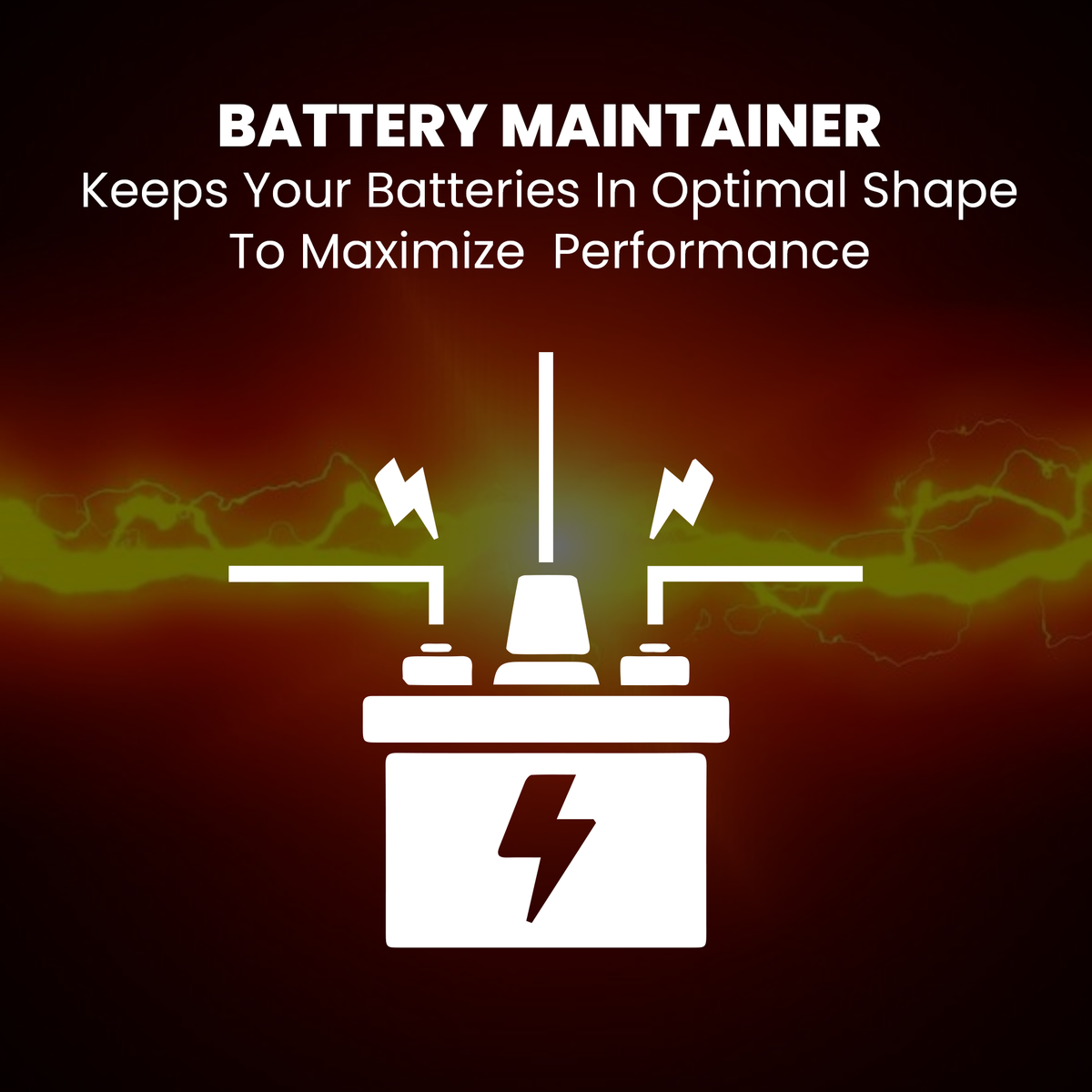 BRS Super Charger BRS612 - 6V/12V Trickle Charger - Battery Maintainer & Rejuvenator-5