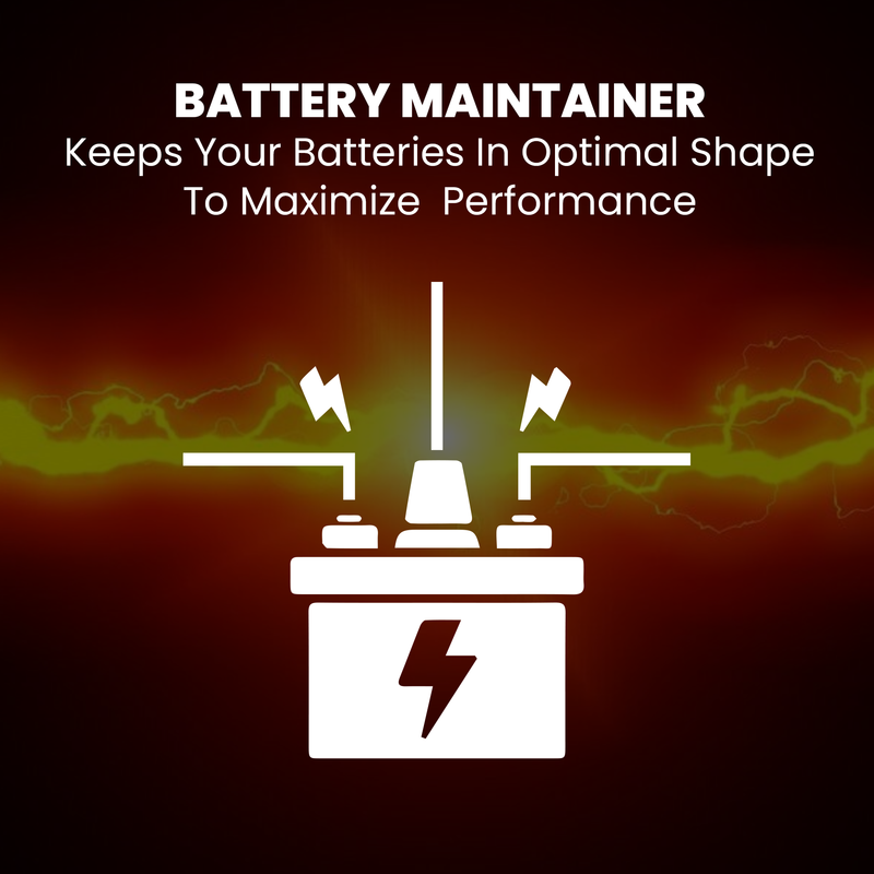 BRS Super Charger BRS612 - 6V/12V Trickle Charger - Battery Maintainer & Rejuvenator-5