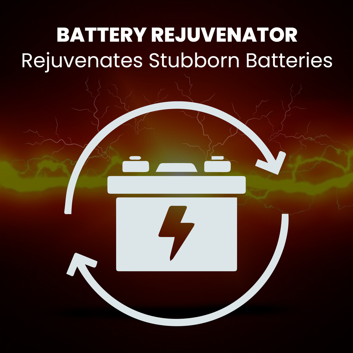 BRS Super Charger BRS612 - 6V/12V Trickle Charger - Battery Maintainer & Rejuvenator-10