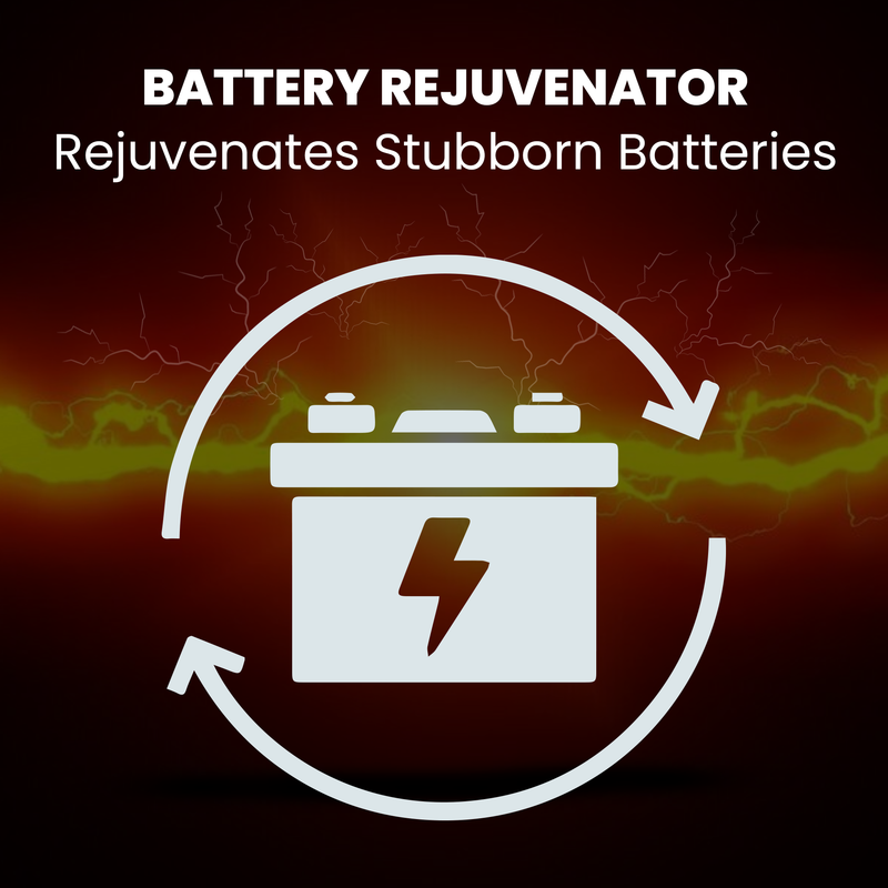 BRS Super Charger BRS612 - 6V/12V Trickle Charger - Battery Maintainer & Rejuvenator-10