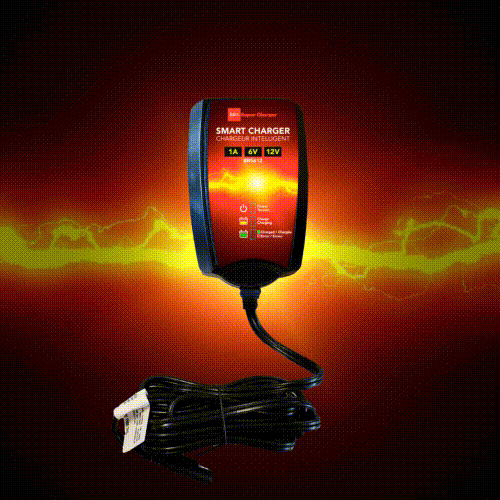 BRS Super Charger BRS612 - 6V/12V Trickle Charger - Battery Maintainer & Rejuvenator-3