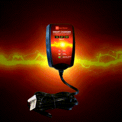 BRS Super Charger BRS612 - 6V/12V Trickle Charger - Battery Maintainer & Rejuvenator-3