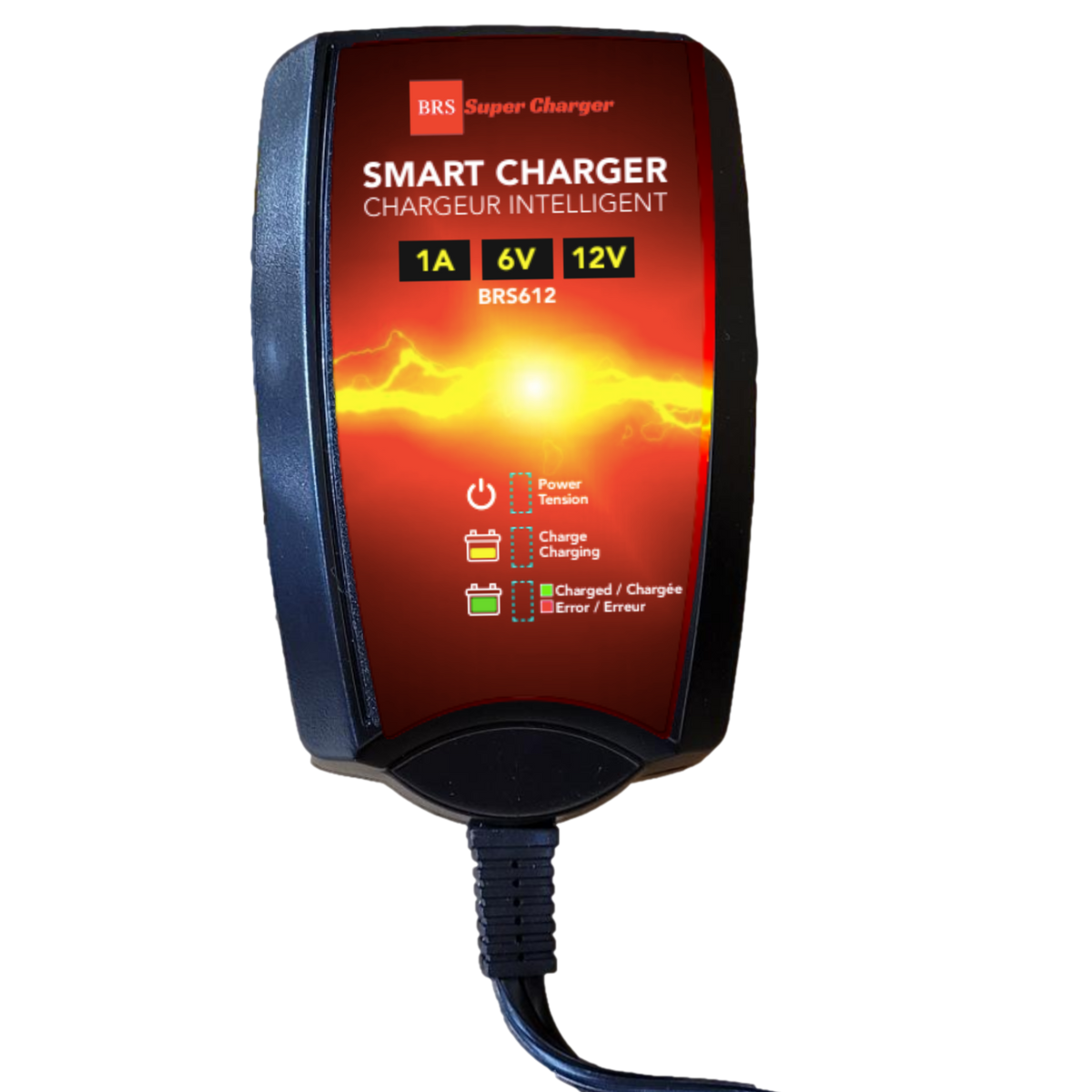 BRS20HL-BS 30 Day Warranty Battery & Smart Charger / Maintainer Combo Bundle Kit-6