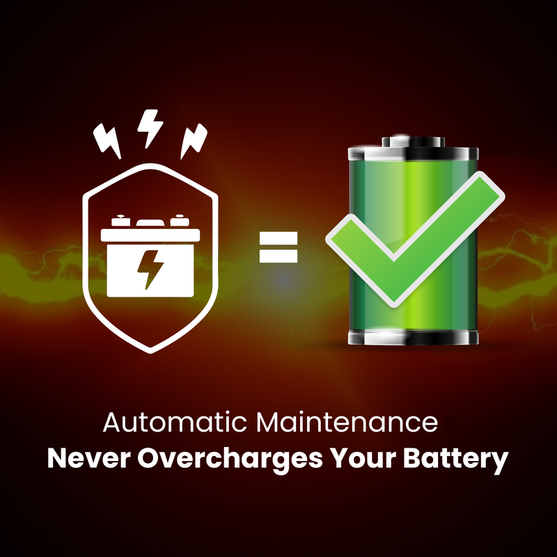 BRS Super Charger BRS612 - 6V/12V Trickle Charger - Battery Maintainer & Rejuvenator-4
