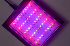 Reef Casa Nova Refugium LED-1