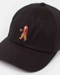 Sasquatch Peak Hat-3