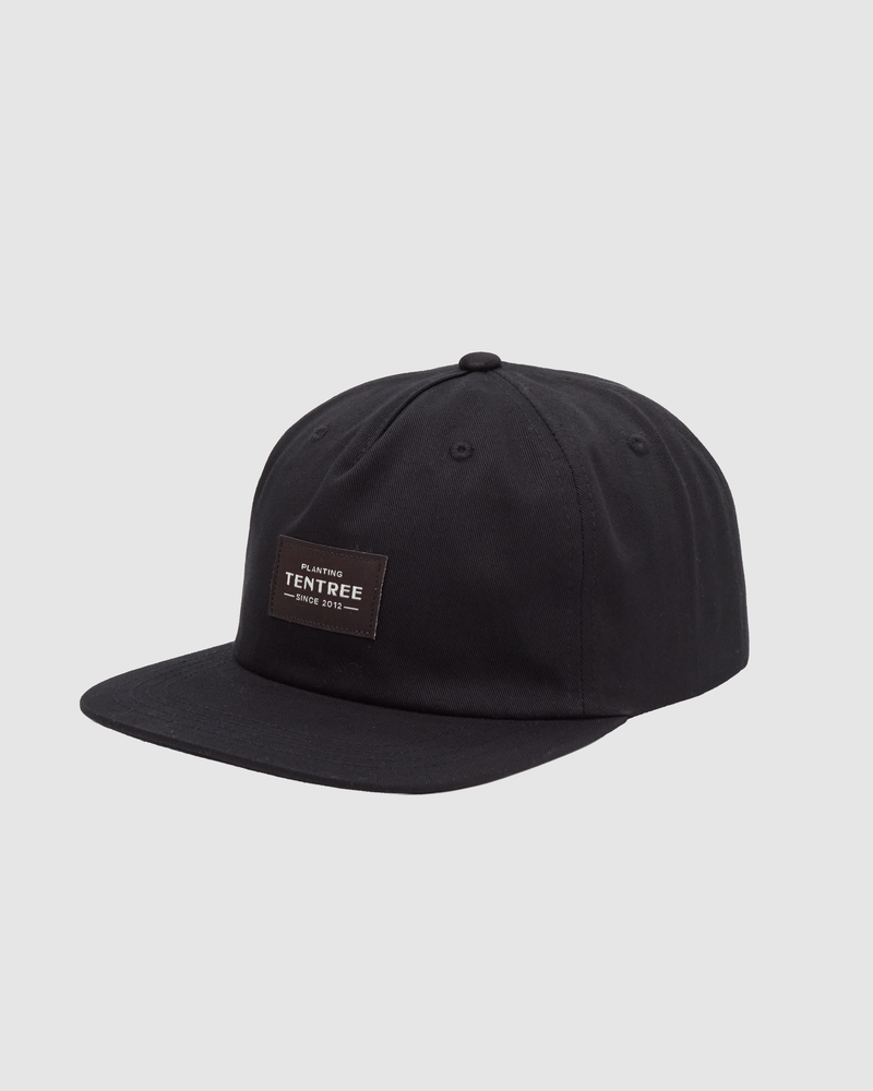 Tentree Heritage Apex Hat-1