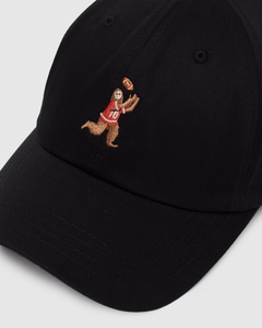 Sasquatch Peak Hat-2
