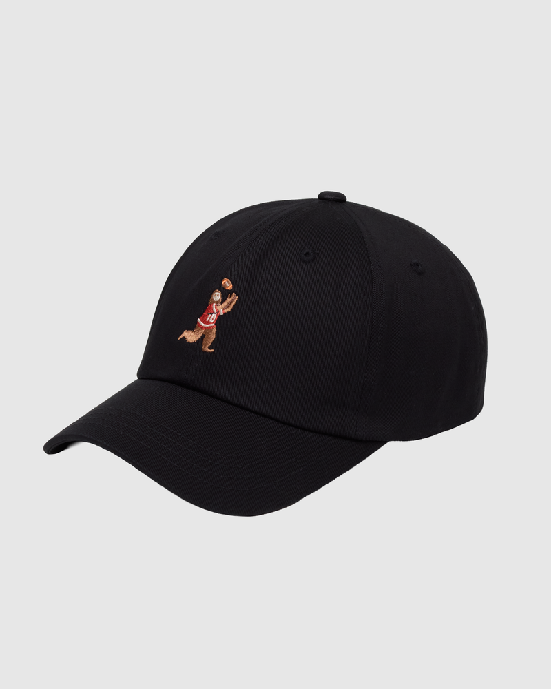 Sasquatch Peak Hat-1