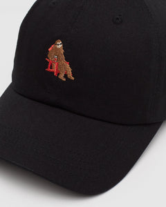 Sasquatch Peak Hat-2