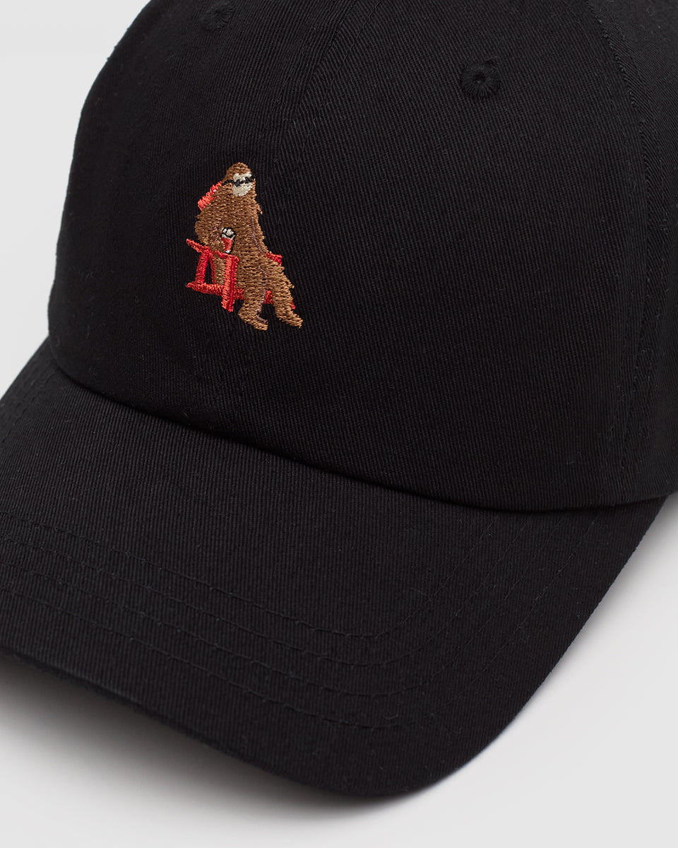 Sasquatch Peak Hat-2