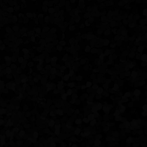 XVINYL Holographic Sparkle HTV - Heat Transfer Vinyl (Black), 12x10", 5 Sheets-1