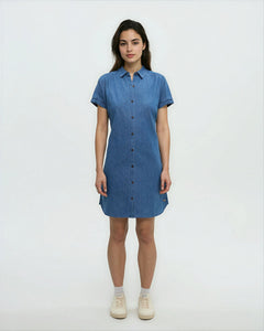 Denim Tern Dress-2