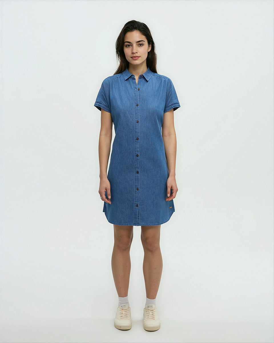 Denim Tern Dress-2