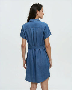 Denim Tern Dress-3