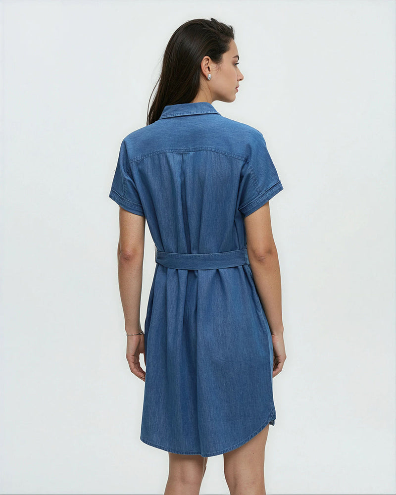 Denim Tern Dress-3