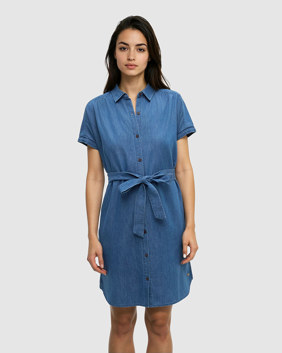 Denim Tern Dress-1