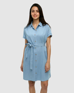Denim Tern Dress-1