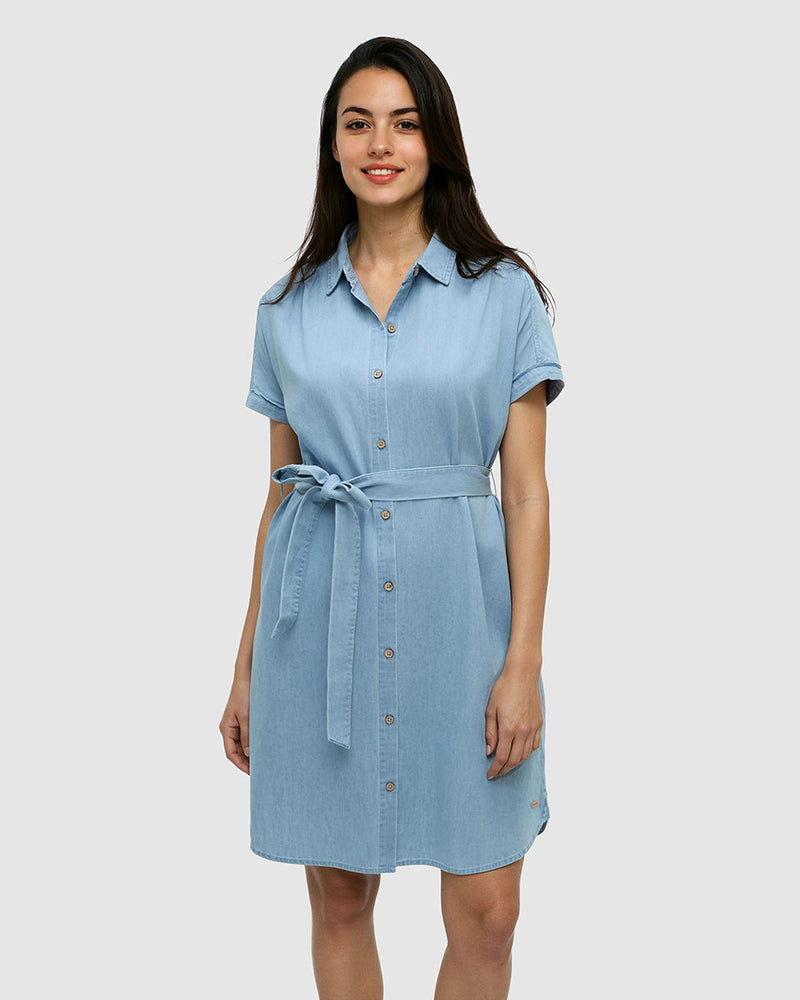 Denim Tern Dress-1