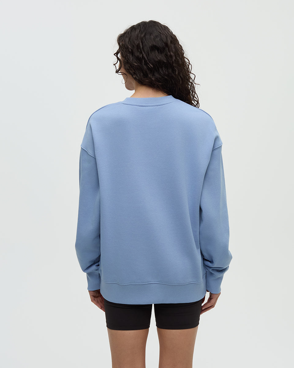 Washed Lakeshore Relaxed Crew-2