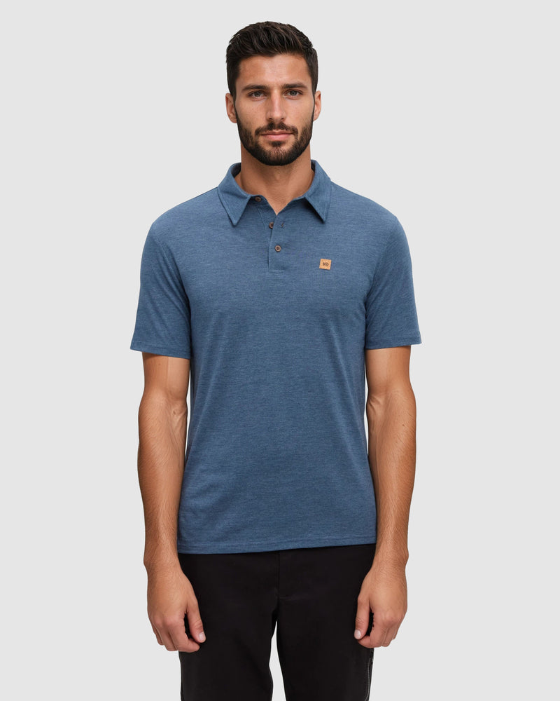 Astir Polo-1