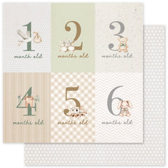 Boho Baby Basics 6x6 Paper Collection 35098-2