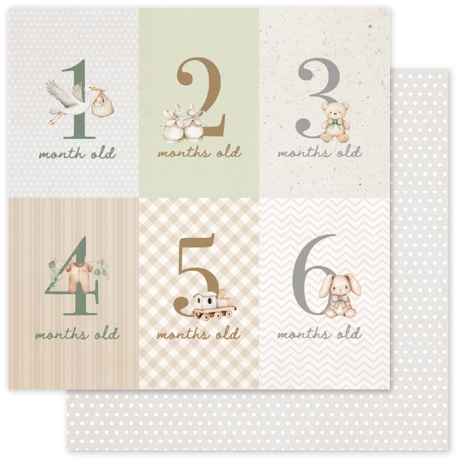 Boho Baby Basics 6x6 Paper Collection 35098-2