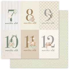 Boho Baby Basics D 12x12 Paper (12pc Bulk Pack) 35113-1