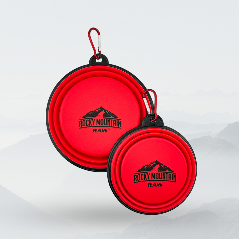 RED Foldable Dog Bowl-1