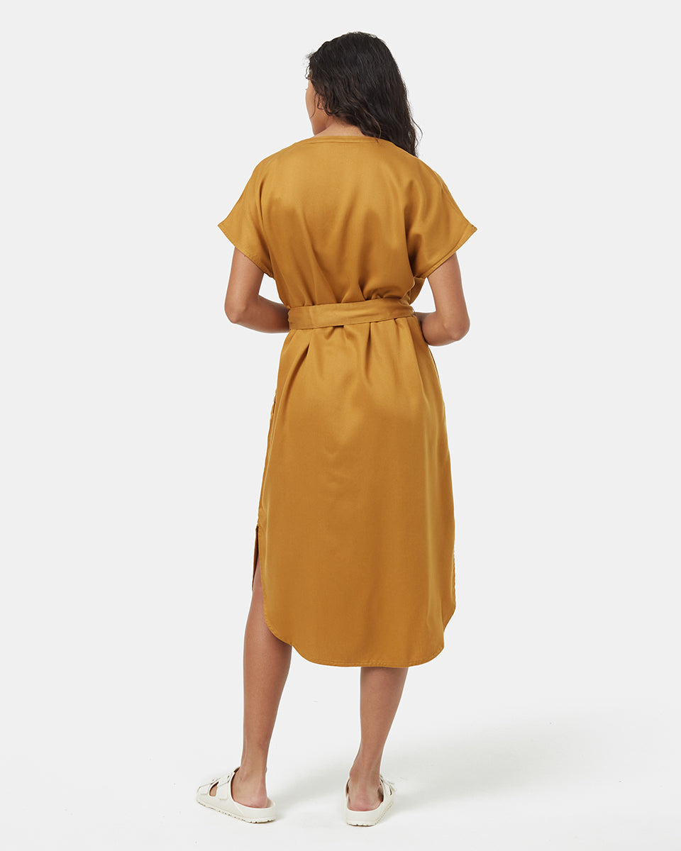 Tencel Shirt Dress-3