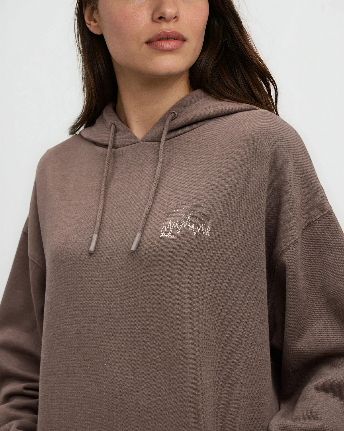Parks Landscape Oversized Hoodie-3
