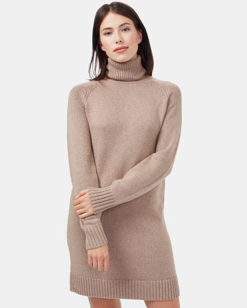 Highline Turtleneck Dress-4
