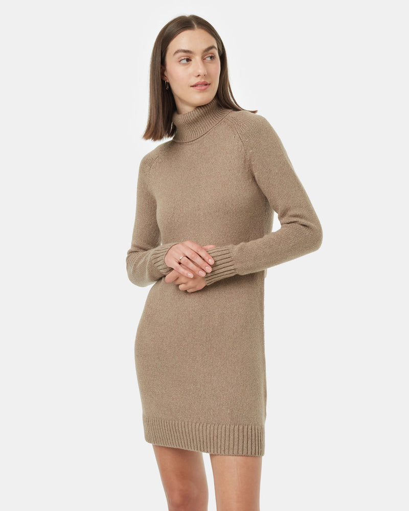 Highline Turtleneck Dress-1