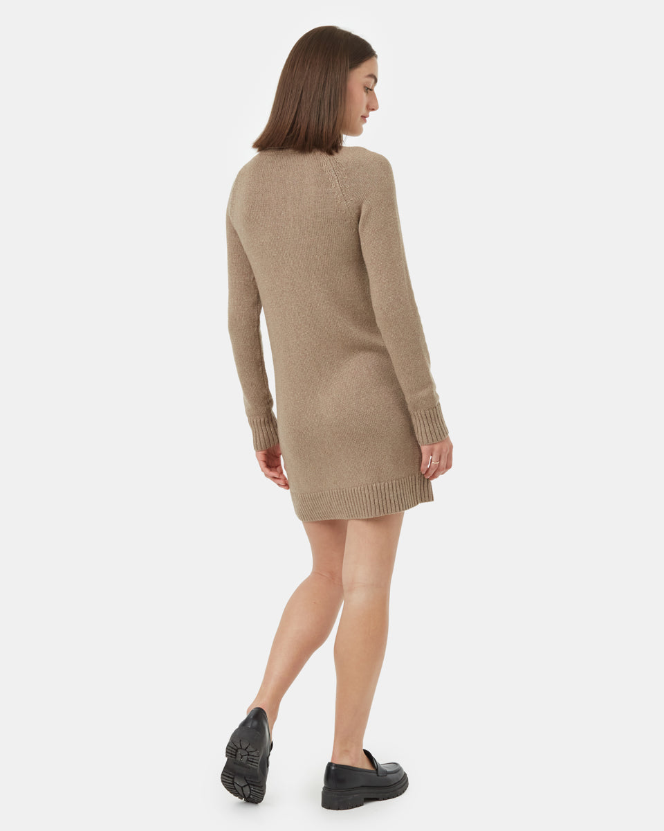 Highline Turtleneck Dress-2